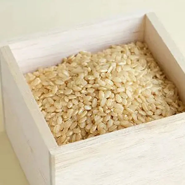 玄米・発芽米
